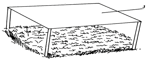 Image From EcoleBooks.com
