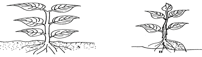 Image From EcoleBooks.com