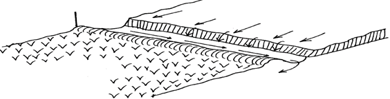 Image From EcoleBooks.com