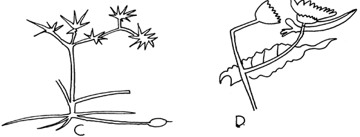 Image From EcoleBooks.com