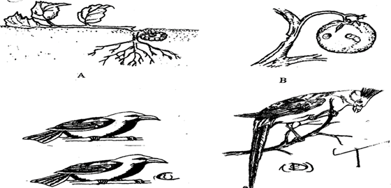 Image From EcoleBooks.com