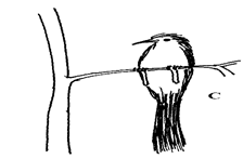 Image From EcoleBooks.com