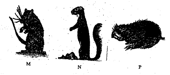 Image From EcoleBooks.com