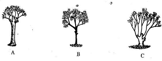 Image From EcoleBooks.com