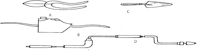 Image From EcoleBooks.com