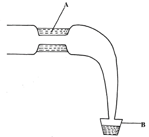 Image From EcoleBooks.com