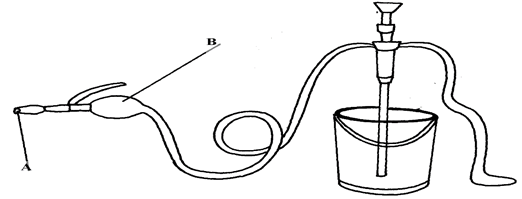 Image From EcoleBooks.com