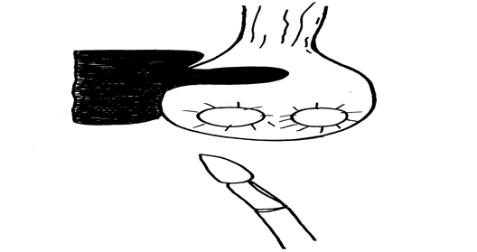 Image From EcoleBooks.com
