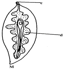 Image From EcoleBooks.com