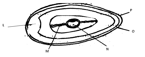 Image From EcoleBooks.com