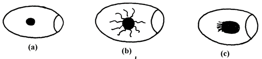 Image From EcoleBooks.com