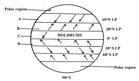 Image From EcoleBooks.com