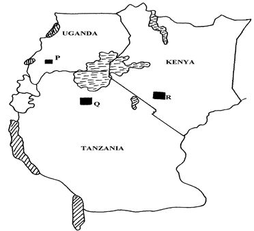 Image From EcoleBooks.com