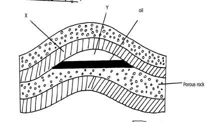 Image From EcoleBooks.com
