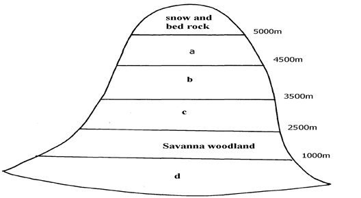Image From EcoleBooks.com