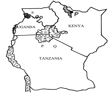 Image From EcoleBooks.com
