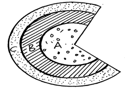 Image From EcoleBooks.com