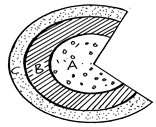 Image From EcoleBooks.com