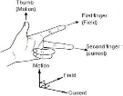 Image From EcoleBooks.com