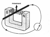 Image From EcoleBooks.com