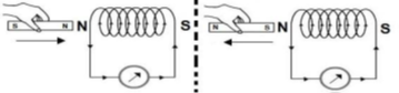 Image From EcoleBooks.com