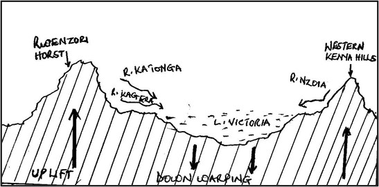 Image From EcoleBooks.com