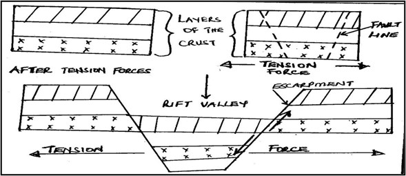 Image From EcoleBooks.com