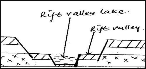 Image From EcoleBooks.com