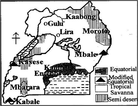 Image From EcoleBooks.com