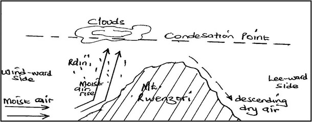 Image From EcoleBooks.com