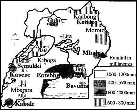 Image From EcoleBooks.com