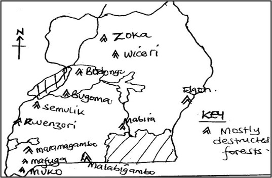 Image From EcoleBooks.com