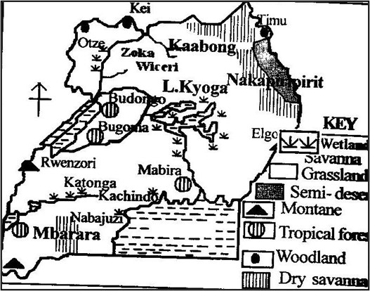 Image From EcoleBooks.com