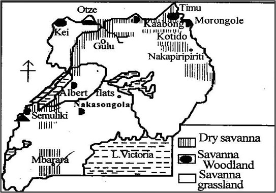 Image From EcoleBooks.com