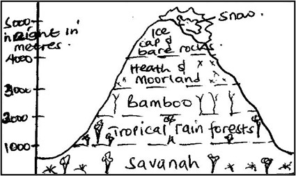 Image From EcoleBooks.com