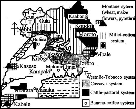 Image From EcoleBooks.com