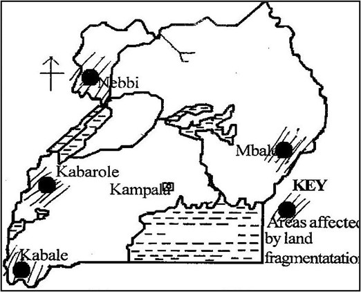 Image From EcoleBooks.com
