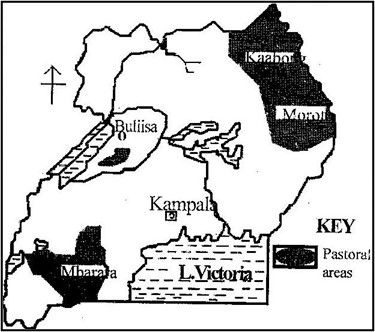 Image From EcoleBooks.com