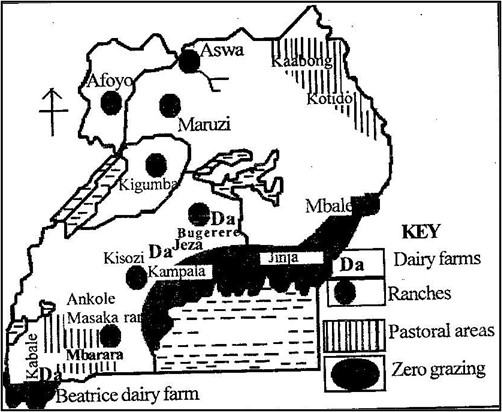 Image From EcoleBooks.com