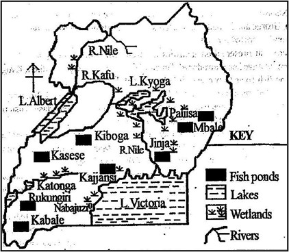 Image From EcoleBooks.com