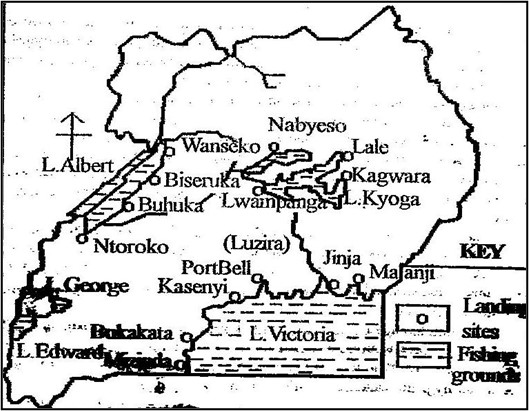 Image From EcoleBooks.com