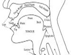 Image From EcoleBooks.com