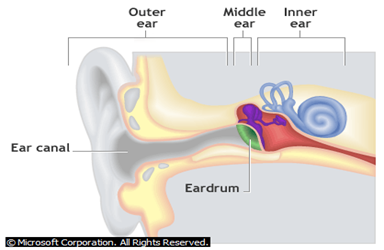 Image From EcoleBooks.com