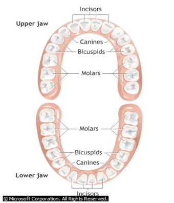 Image From EcoleBooks.com