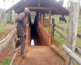 Image From EcoleBooks.com