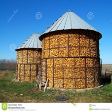 Image From EcoleBooks.com