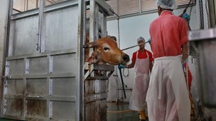 Image From EcoleBooks.com