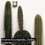 Image From EcoleBooks.com