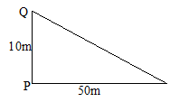 Image From EcoleBooks.com