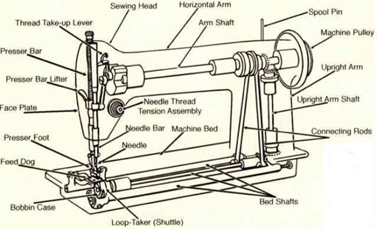 Image From EcoleBooks.com